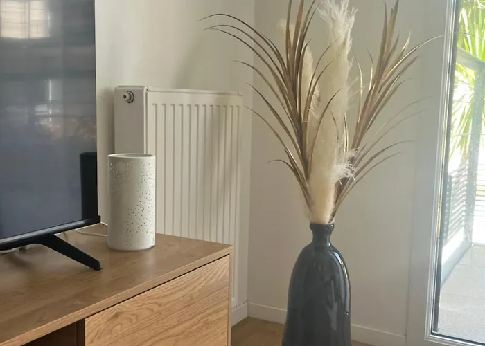 Cosy 2 Pieces Proche Centre-ville *